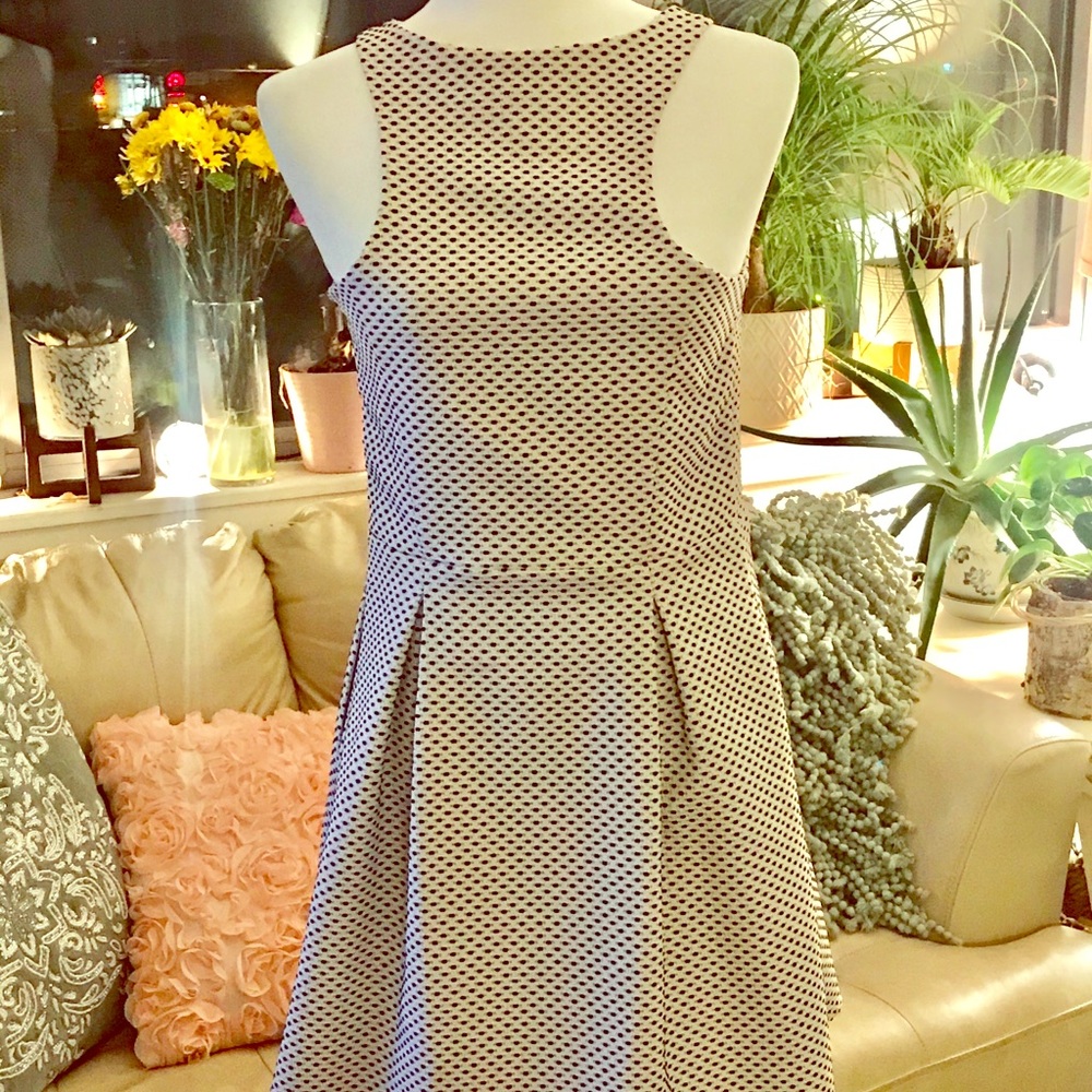 Zippered Express Dress